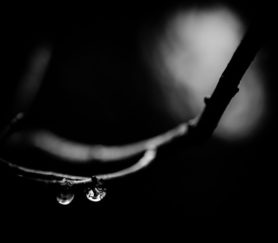https://www.flickr.com/photos/94132145@N04/15858612197/in/photolist-7CHB7G-b6Epvr-btAJr2-btAHYP-j7hLsu-pHZUQx-iDyBXK-btAFtP-gjcFJV-b6Eqh6-9hSCQP-qanwUe-btAHLB-c3urwN-c3ur65-btAHDv-9ZHrsY-f47MrW-6yjEGz-qbVjJG-6mhvwX-pRFN3d-aEhxpo-aEdJXp-mA3J9A-5jtMqy-EaxuWH-mA21Vr-do1pQW-diX47R-mA3MG7-aEhzBf-fqRukR-GA5YeW-95r1WH-oVUhAN-CiYxuW-AL92vA-aEhzFm-mA2g3e-d9qjN9-HpAkKt-4TUv3Z-mA3ZYG-uL6KVG-dgPUg7-9TaNBt-mA1Zmp-5rJge3-mA2xvx